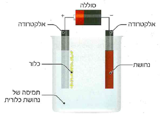(בספר ארבע תמונות, היעזר במנחה)